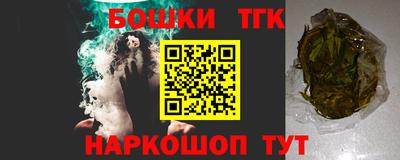 дмт Новодвинск