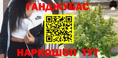 дмт Новодвинск